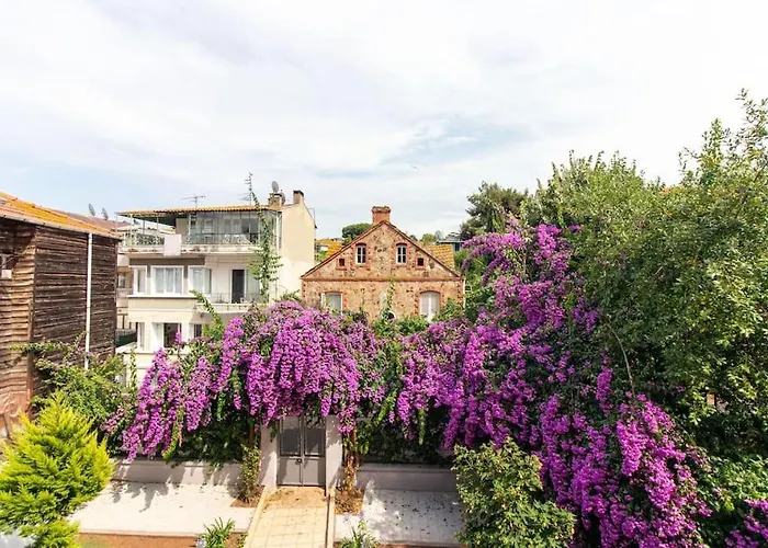 Apartment 2br House W Island Charm